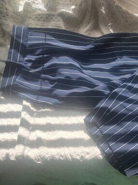 Like New Babaton Aritzia Striped Navy Blue Dress Pants